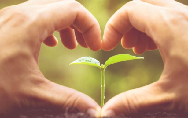 工作态度和责任心语录文案