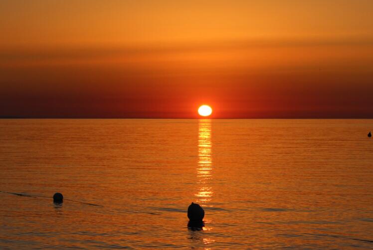 一句话激励短句