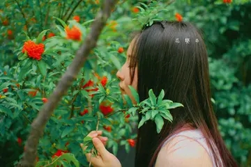 80后女人心情说说文案