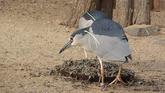 军恋彼此珍惜的句子文案