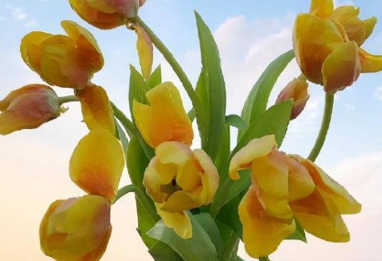 朋友告别的话简短