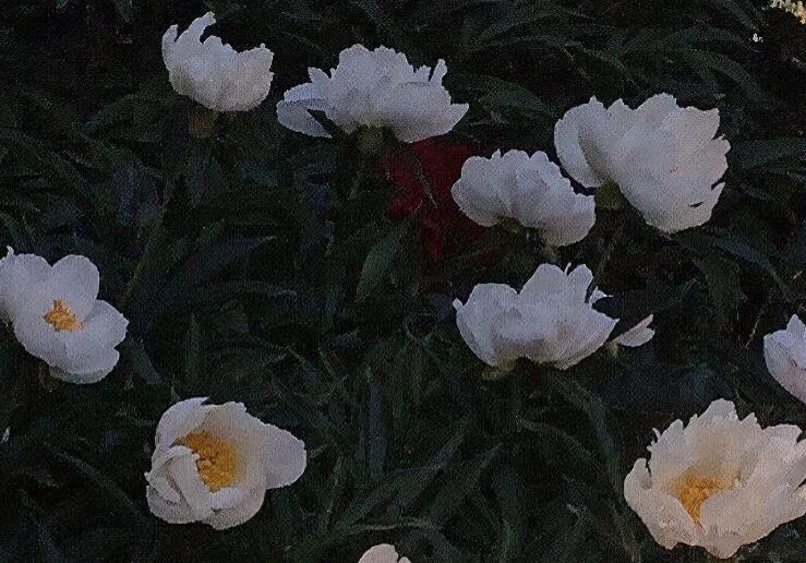 失恋的句子文案说说心情