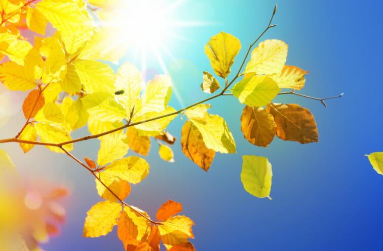 赞美努力拼搏的句子文案