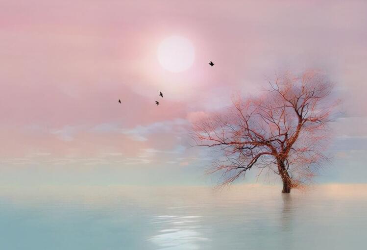 女人高傲的句子文案