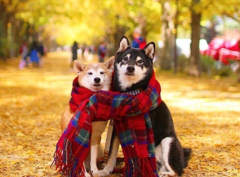 适合发说说文案的文艺长句