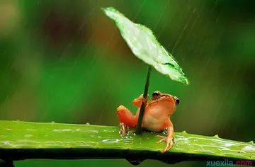 下雨心情低落古诗