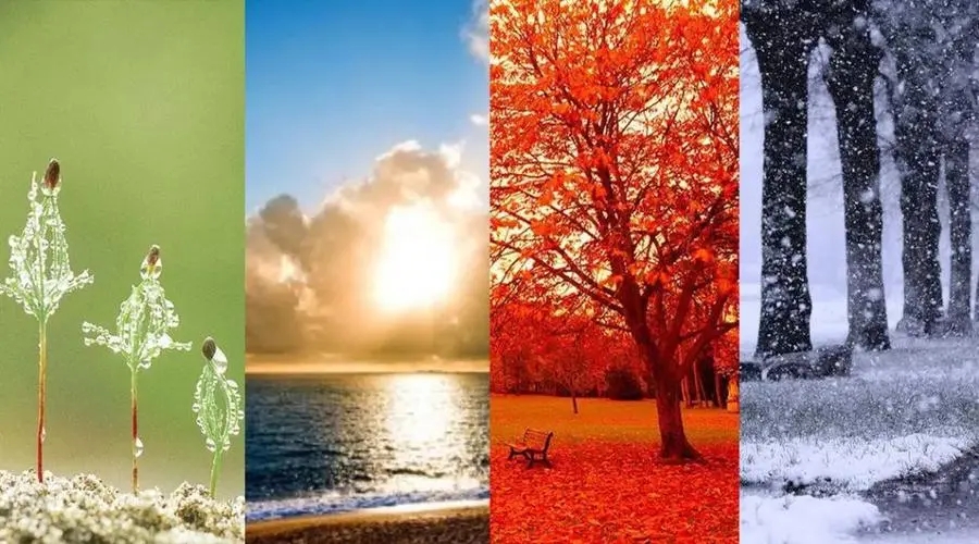 描写四季的诗