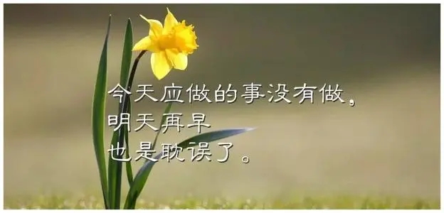 销售早安心语正能量