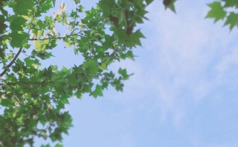 形容七月的诗句文案