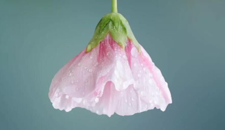 50句优美句子文案短句