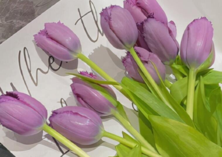 讽刺人不自知的句子文案