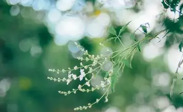 句子文案很短却很经典