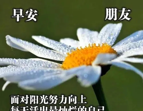 牵挂思念早上祝福语