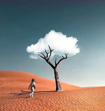 晨间问候语人生励志