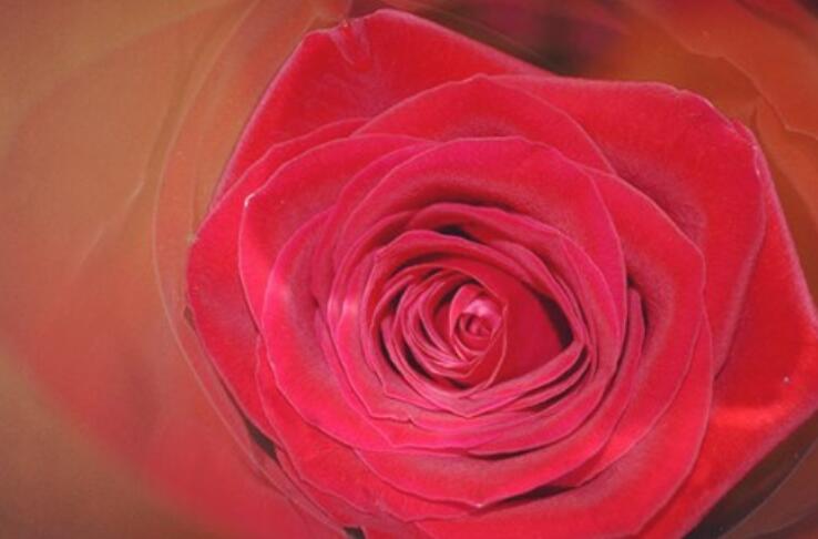 女人苦累的句子文案