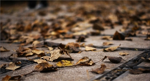 人生感性句子文案简短的