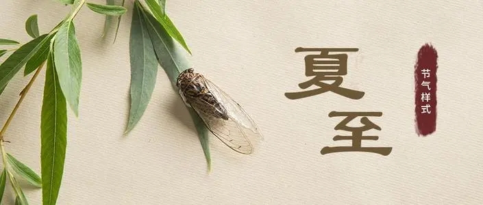 夏至手抄报一段话