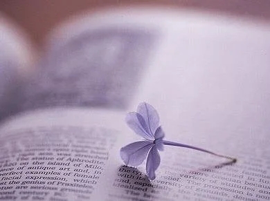 情人伤感的句子文案说说心情