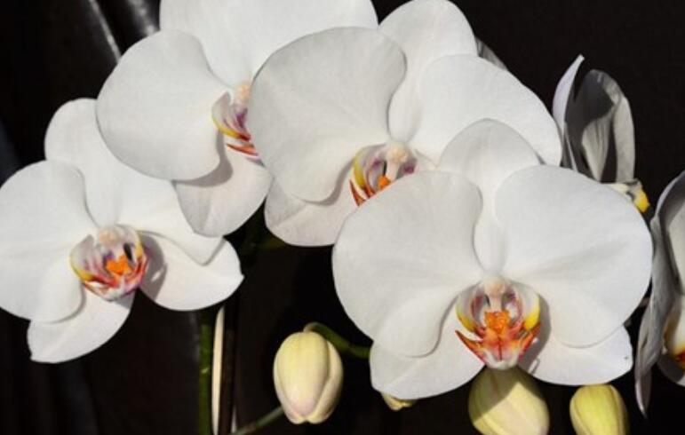 爱情悲伤的句子文案说说心情