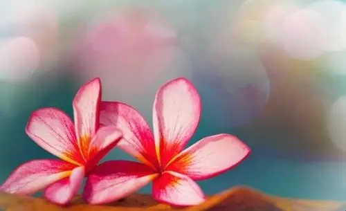 浓浓的思念短语