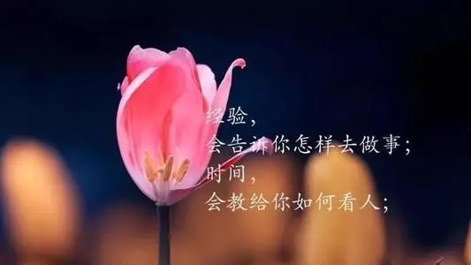 随心情感语录文案视频