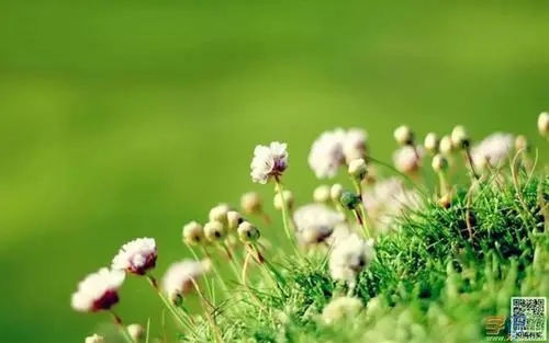 充满正能量的励志句子文案简短