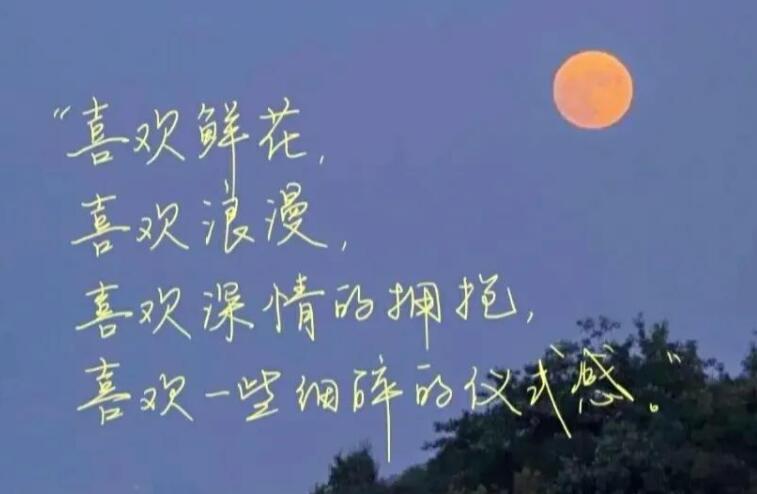 放弃暗恋的人的句子文案