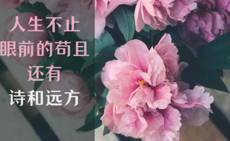 奋斗的话简短霸气