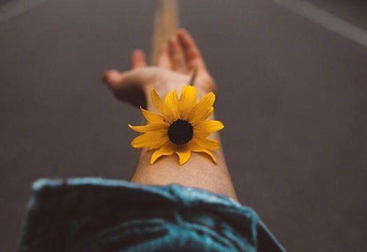 睡安心踏实的觉的句子文案