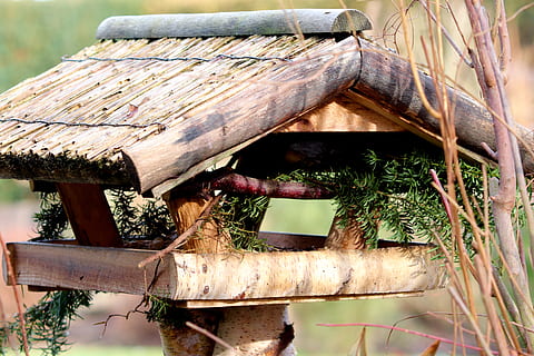 委婉表达喜欢你的一句话