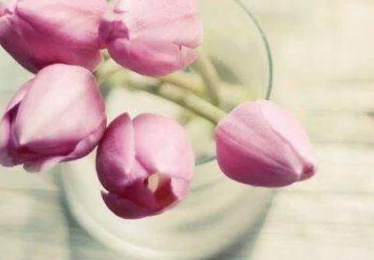 保护她一辈子的句子文案