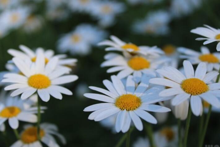 早安致自己励志句子文案