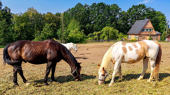 哄女生睡觉的句子文案