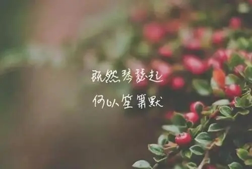 如果你足够坚强段中好词好句文案