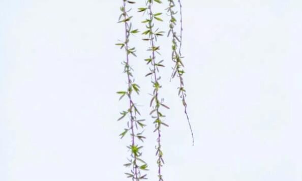 好句文案带出处