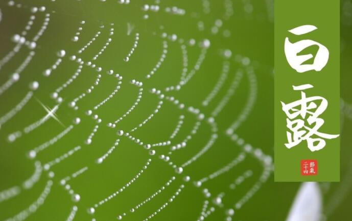 宝宝白露发说说文案