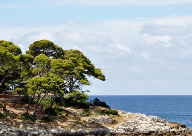 仿照例句用名人名言来说明自己的观点