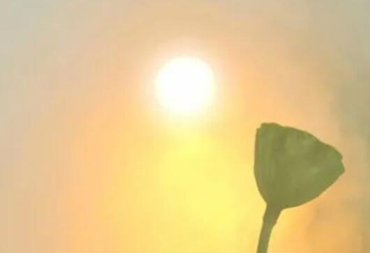 100字人生感悟好句文案