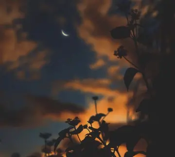 文案短句无关爱情温柔