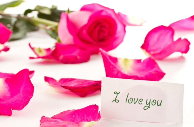 教师节感恩老师的话语和段落