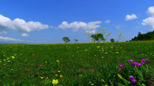 家乡的美景一段话