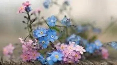 祝福别人生活愉快的句子文案