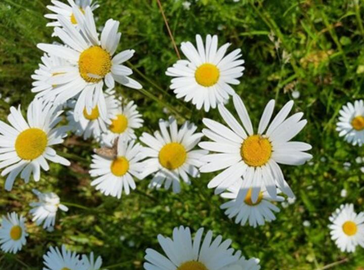 60句分手心痛的句子文案