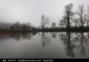 描写古树倒映水中的诗句文案