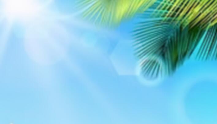 毕业感言简短小学