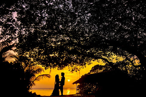 含蓄哲理情话文案