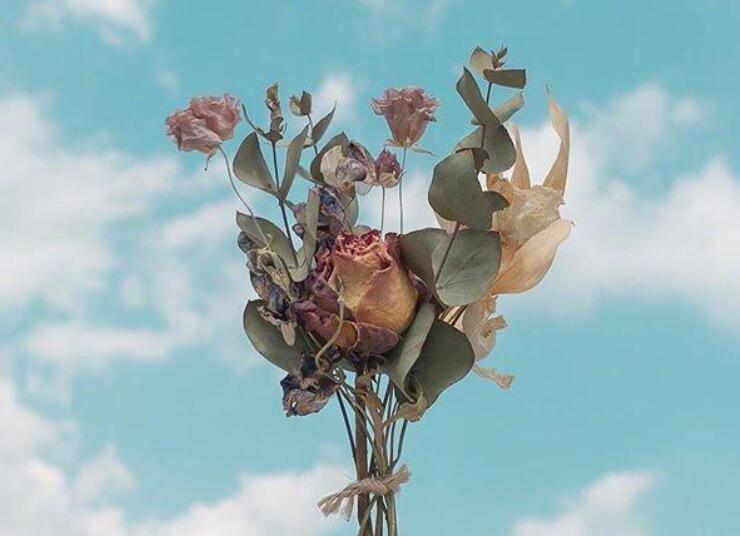 早安正能量暖心句子文案阳光