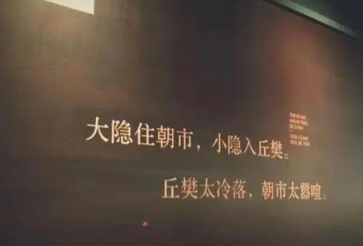 一个人自由的文案