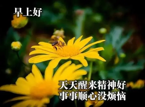 一句经典祝福的话语