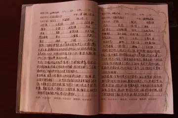 读书笔记500字大全9篇